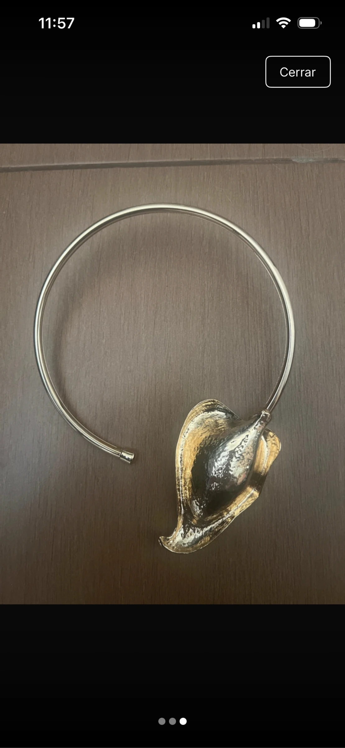 Tulp stalen halsband – photo 2